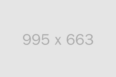 alt 995x663